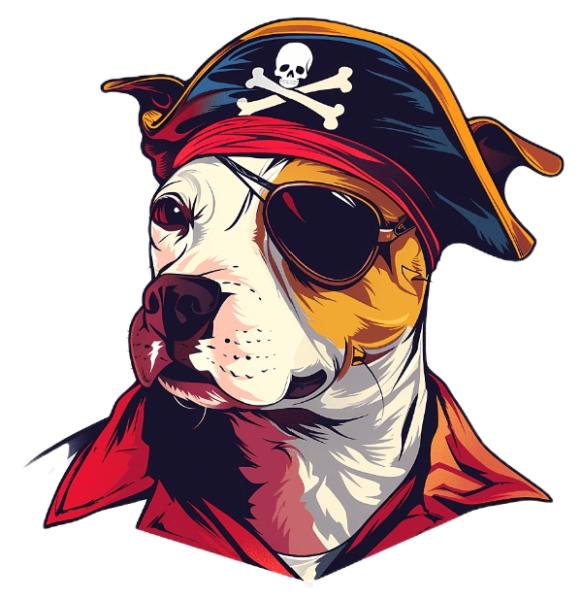 a talk like a pirate gift